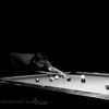 poolshark55066